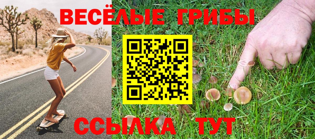 Серов  Галлюциногенные грибы Psilocybine cubensis  сколько стоит  Вход с VPN 